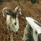 The demanding hunting game Crazy Goat Hunter transports you on an acrobatic, evasive goat chase. Change into a fearless hunter; you will have a sniper gun to face clever targets.
