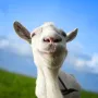 Goat Simulator is a unique and humorous video game developed by Coffee Stain Studios. Originally published in 2014, the game's chaotic gameplay and funny scenarios that players could encounter drew in the gaming community fast.