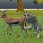 One-of-a-kind animal simulation game, Wolf Life Simulator transports users to the wild realm of wolves. From the high slopes to the deep forests, you will have to learn survival, hunting, and handling hostile foes.
